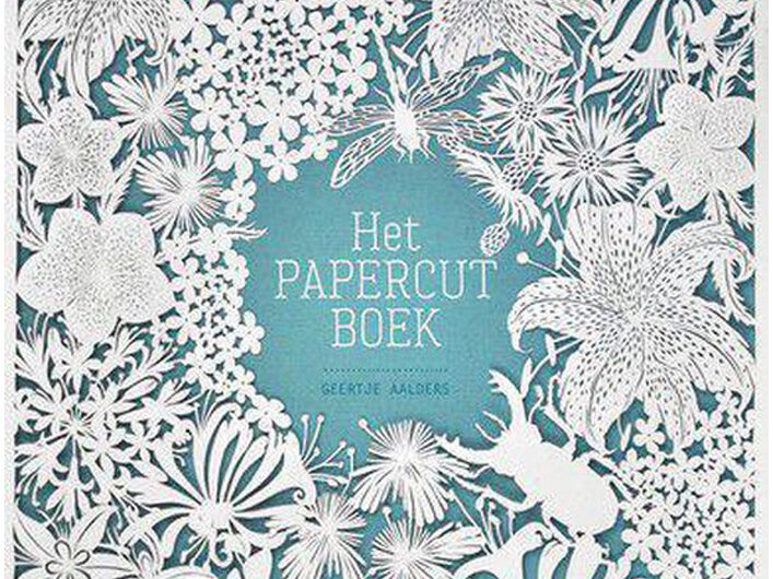 Paper cutting boek - Het paper cut boek van Geertje Aalders 2